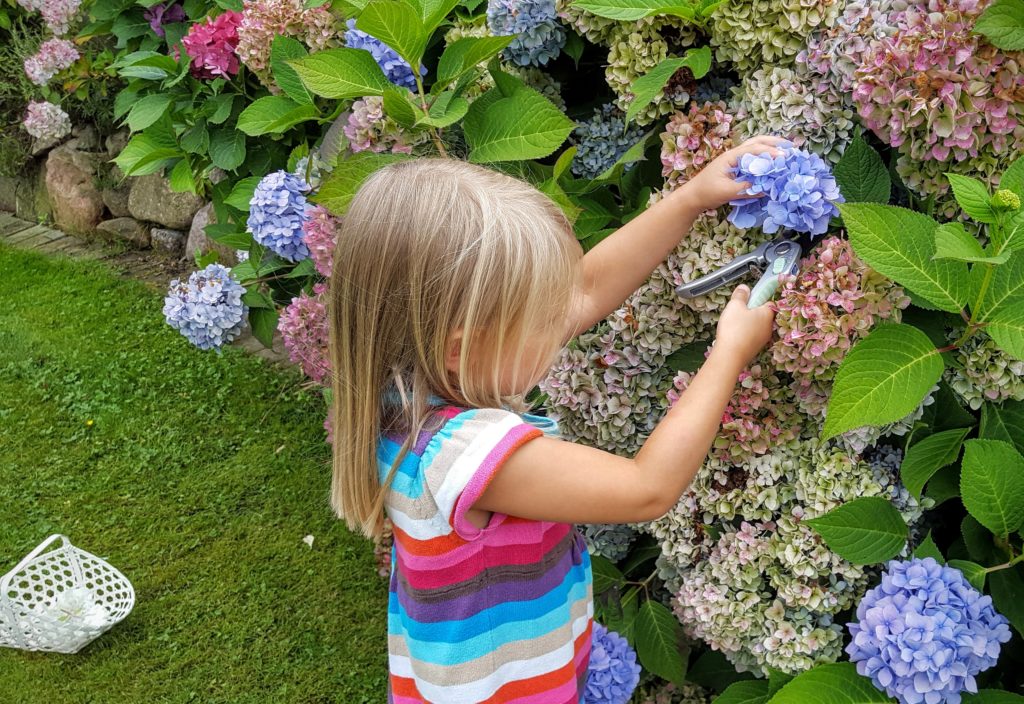 09 Blumen Wochenende in Bildern 20.08.16 Frau Piefke schreibt